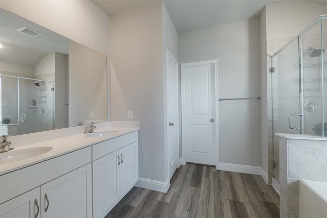 a bathroom with a sink a mirror and a shower