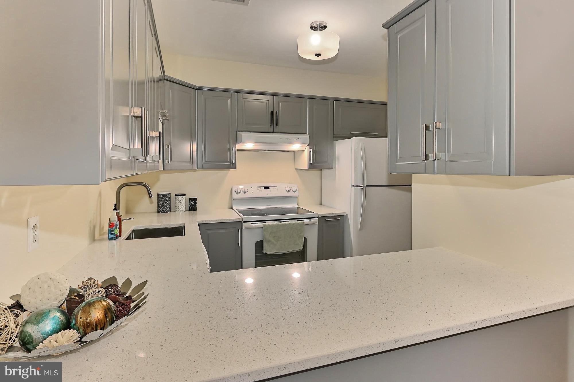 2176 Cartwright Place Reston, VA 20191 - Photo 10 of 23 Sparkling remodeled kitchen November 2017