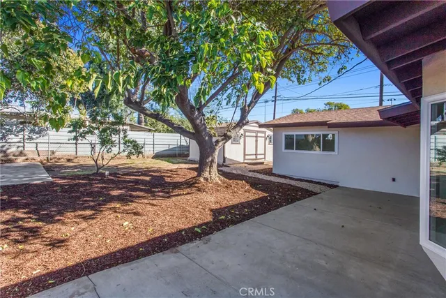 a view of a yard with tree s