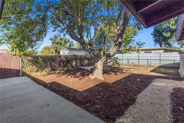 a view of a yard with a tree