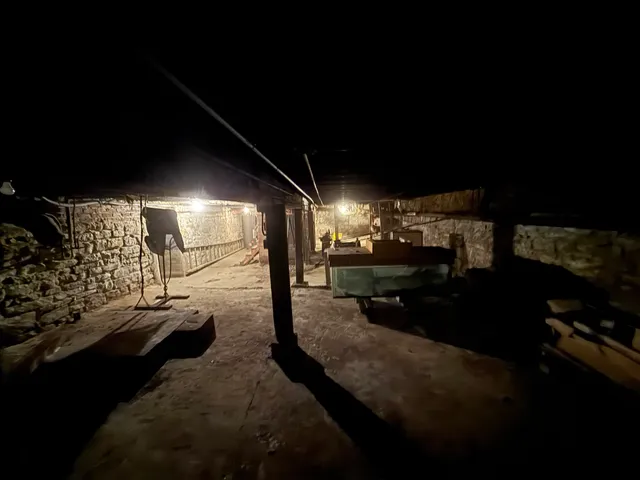 $799,000 | 700 North Kedzie Avenue, Chicago, IL 60624