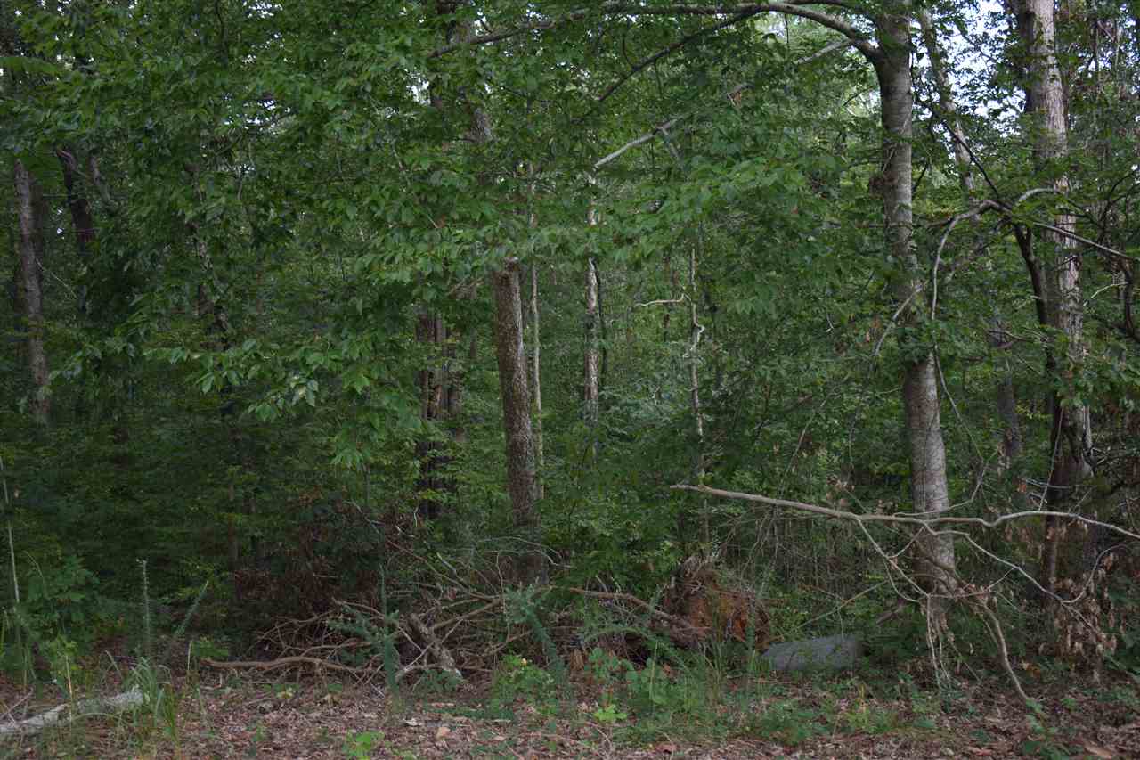 6264 South 45th Highway Ramer, TN 38367 - Photo 11 of 12 Gallery Image 11