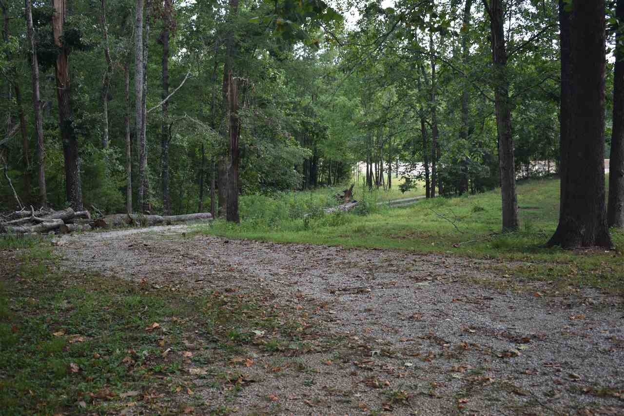 6264 South 45th Highway Ramer, TN 38367 - Photo 10 of 12 Gallery Image 10
