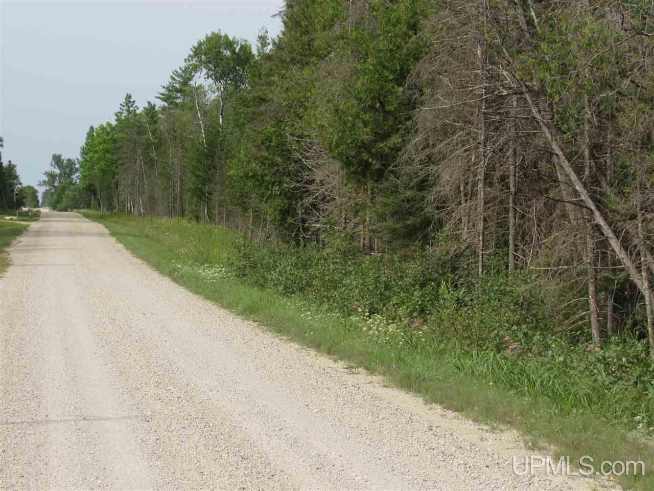 M69 And Shiversky Road Perronville, MI 49873 - Photo 2 of 16
