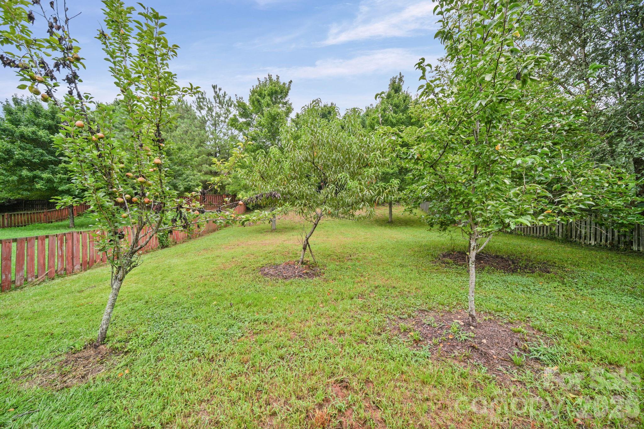 9220 Seamill Road Charlotte, NC 28278 - Photo 32 of 40 Gallery Image 32