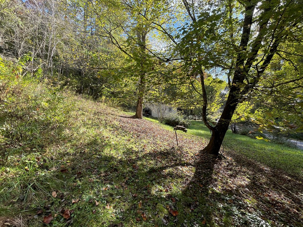 879 Dick Branch Road Robbinsville, NC 28771 - Photo 22 of 26 Gallery Image 22