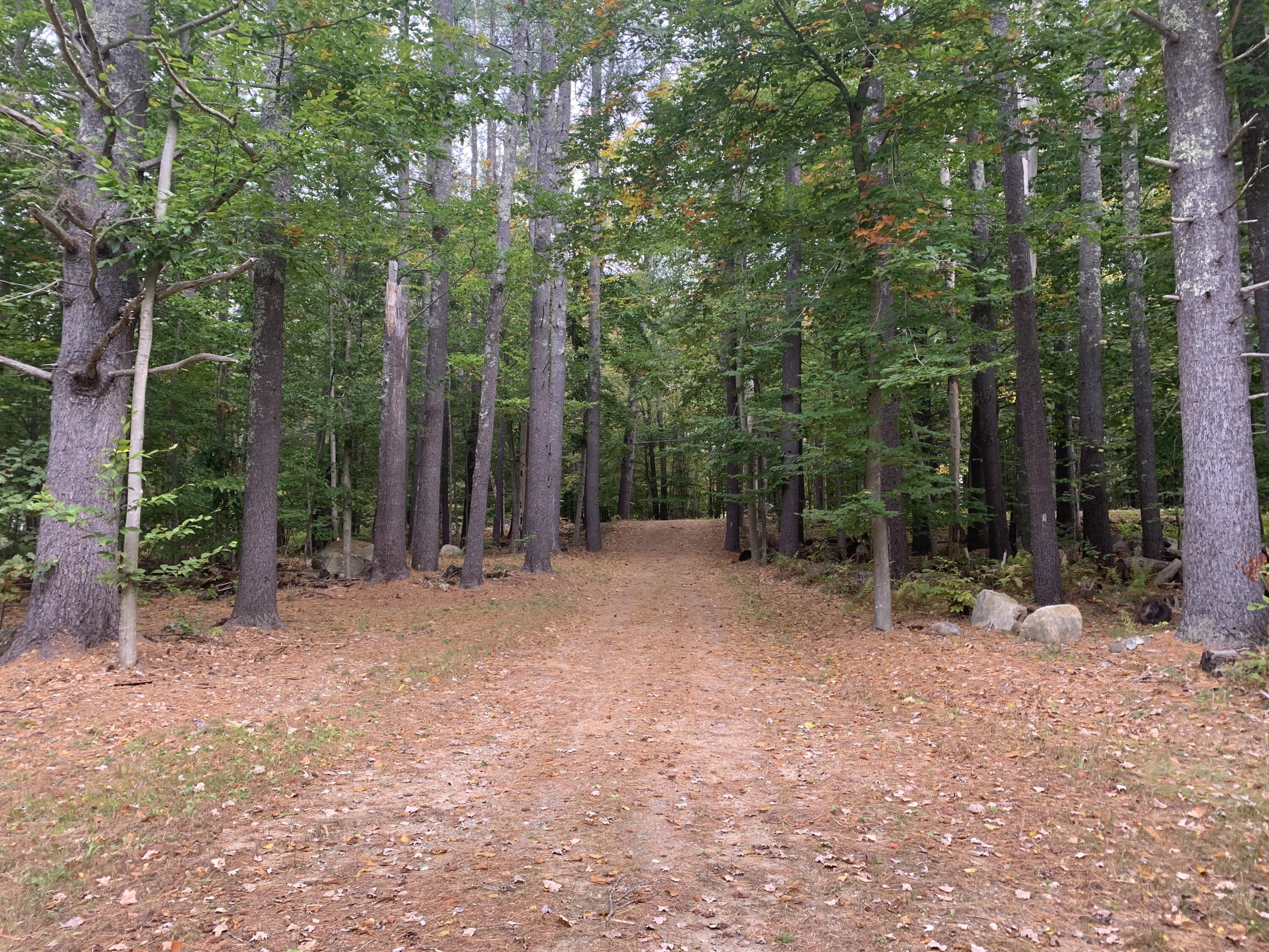 290 Fish Street Fryeburg, ME 04037 - Photo 32 of 39 Driveway