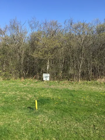 a fire hydrant in the middle of a field