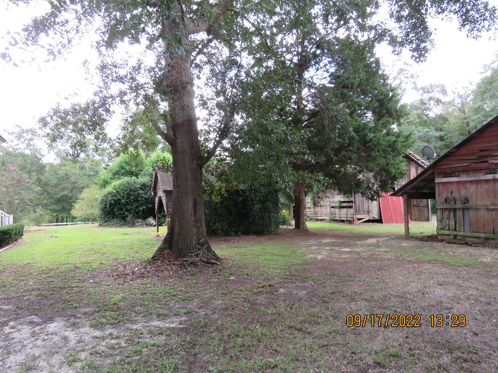 7456 Bay Street Williston, SC 29853 - Photo 8 of 35 Photo 8