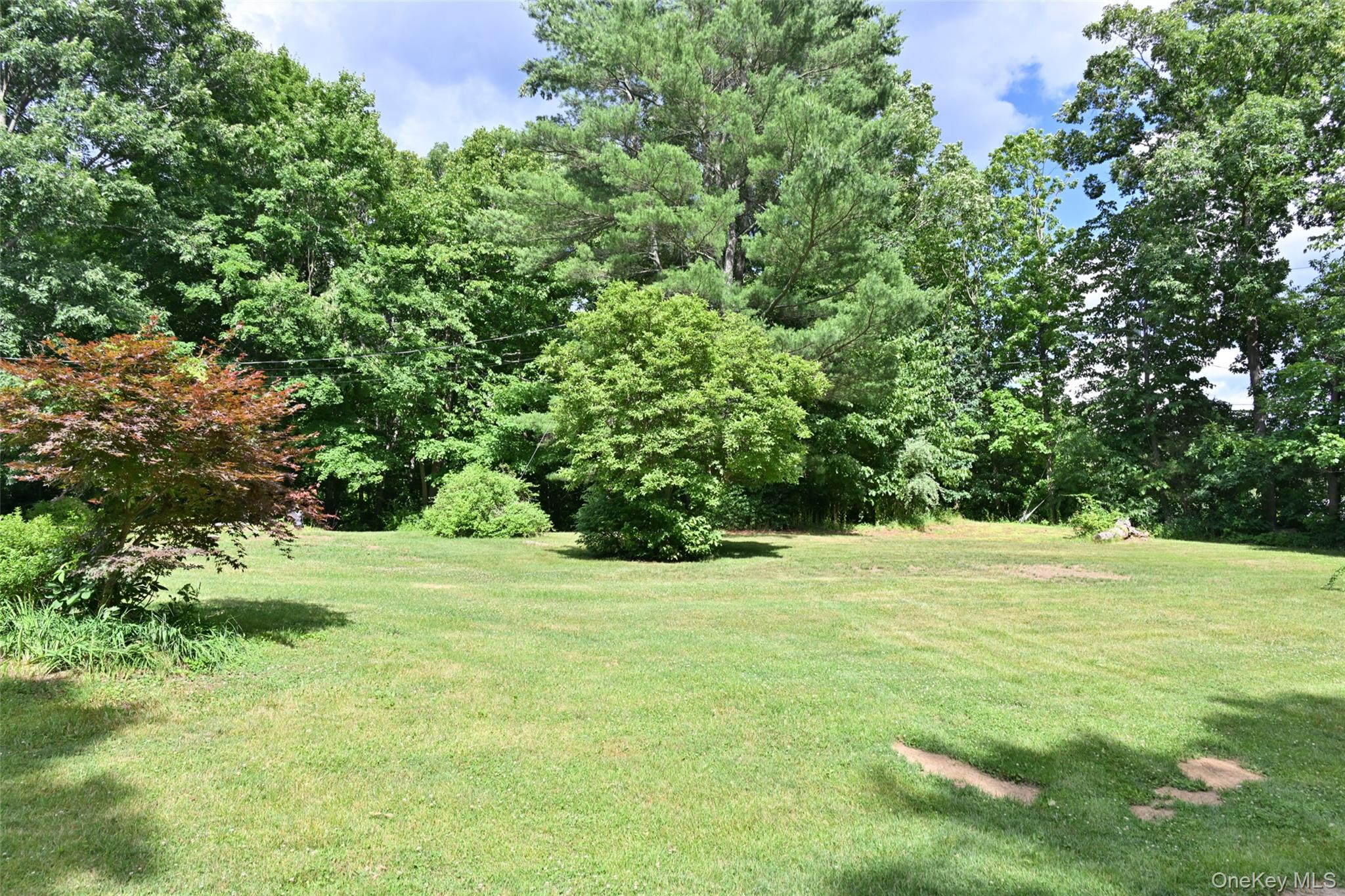 136 Foggintown Road Brewster, NY 10509 - Photo 41 of 50 a view of a field with a tree