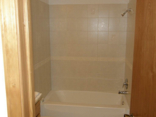 704 Westmore Road Davis, IL 61019 - Photo 4 of 8 a bathroom with a bathtub