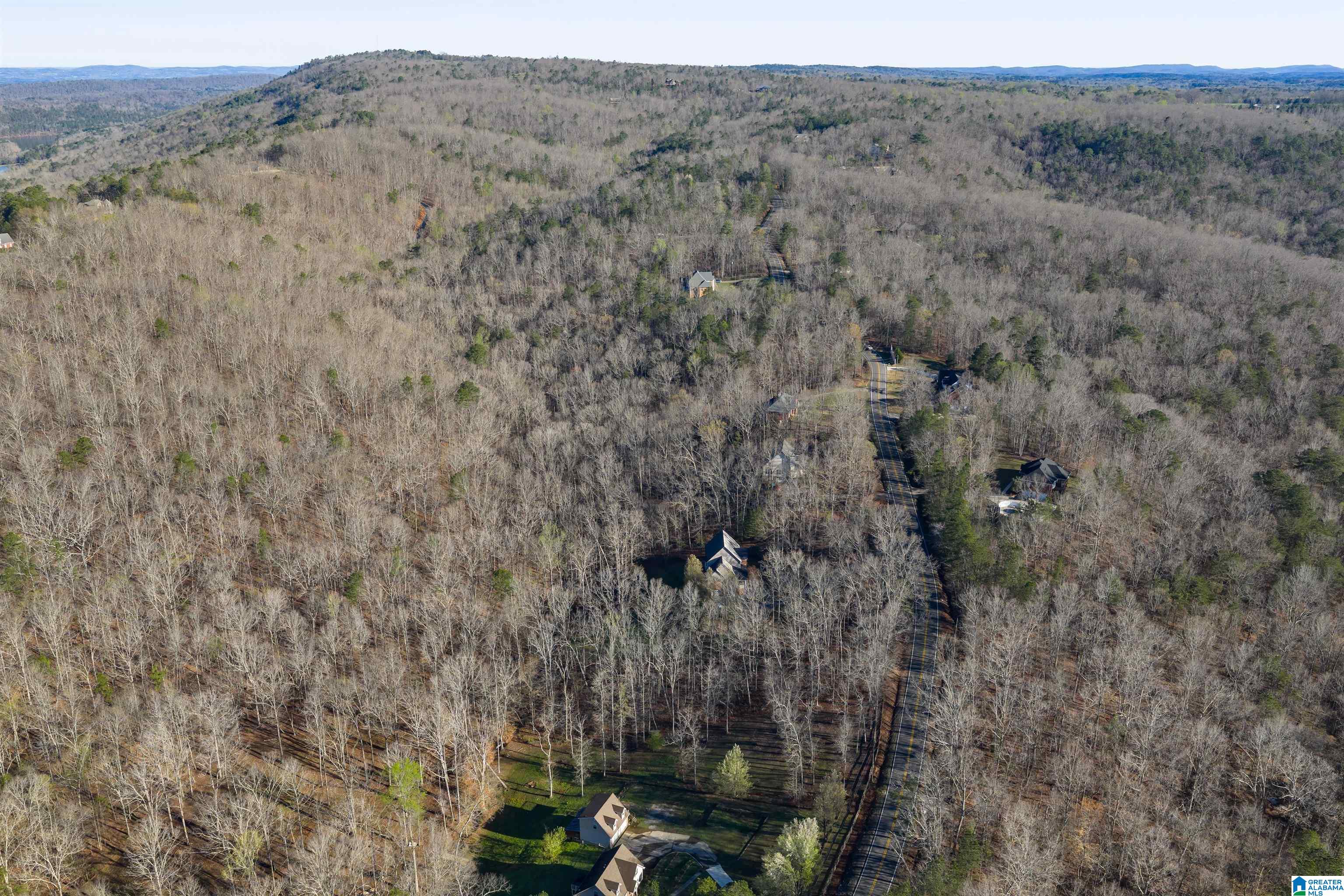 8560 Pine Mountain Road Pinson, AL 35126 - Photo 49 of 59