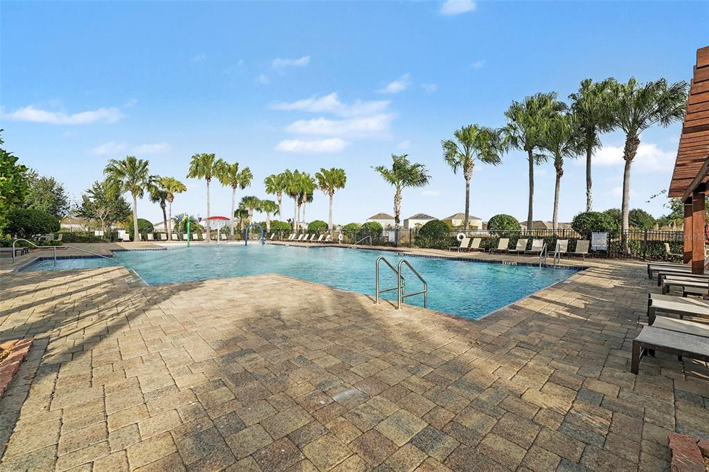2756 Grandbury Grove Road Lakeland, FL 33811 - Photo 23 of 27 a view of swimming pool with a yard and palm trees