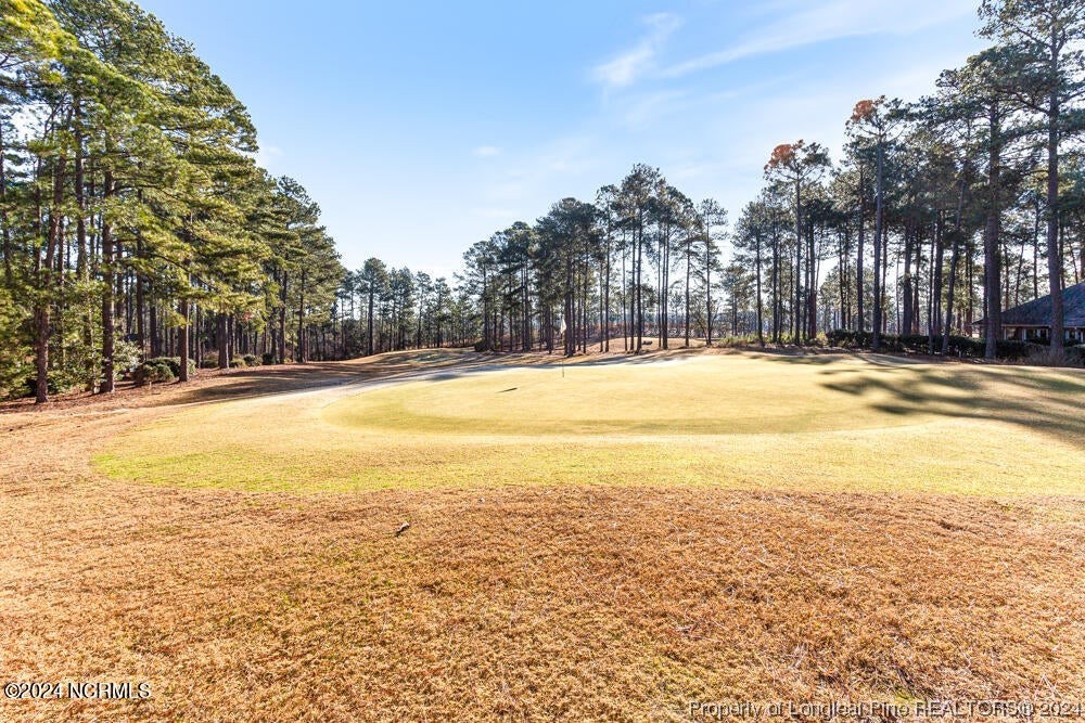 Undisclosed Address West End, NC 27376 - Photo 42 of 49 a view of an ocean and trees