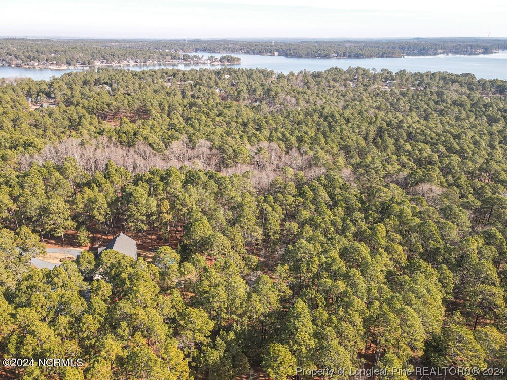 Undisclosed Address West End, NC 27376 - Photo 47 of 49 a view of a city with mountain