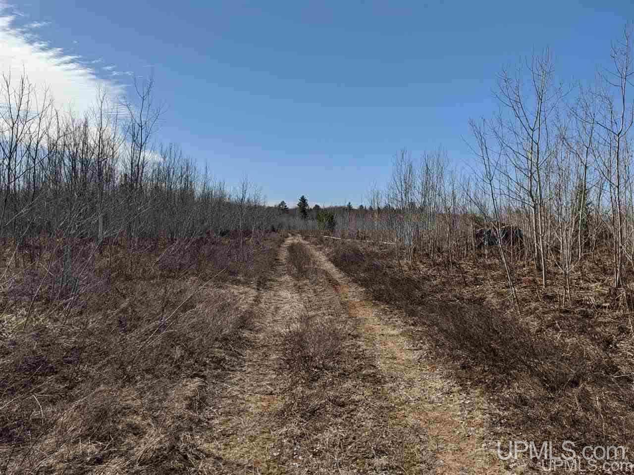 2 Little Bull Road, Unit S1/2NW1/4 Crystal Falls, MI 49920 - Photo 3 of 10
