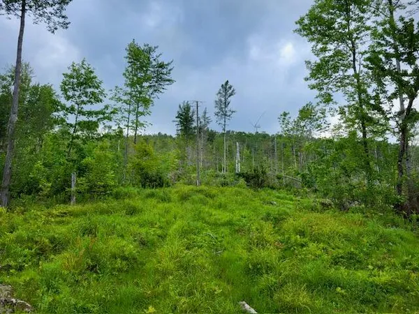$55,000 | Lot 7 Brown Road, Oakfield, ME 04763