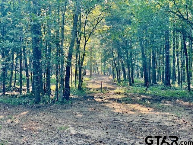 a view of outdoor space with trees