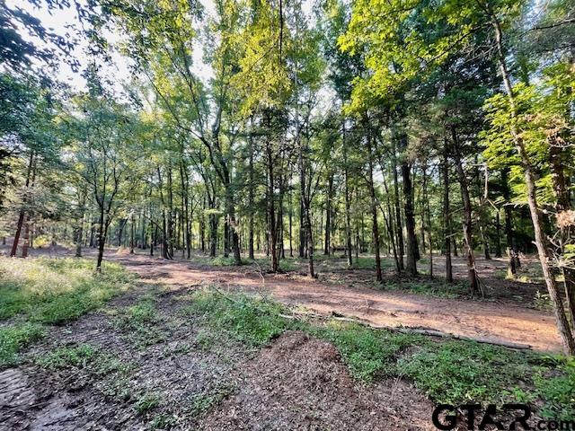13050 Timber Creek Drive Flint, TX 75762 - Photo 2 of 10 a backyard of a house with lots of green space