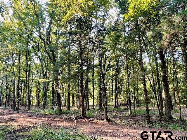 13050 Timber Creek Drive Flint, TX 75762 - Photo 3 of 10 a view of outdoor space with trees