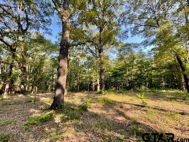 13050 Timber Creek Drive Flint, TX 75762 - Photo 4 of 10 a view of outdoor space with trees