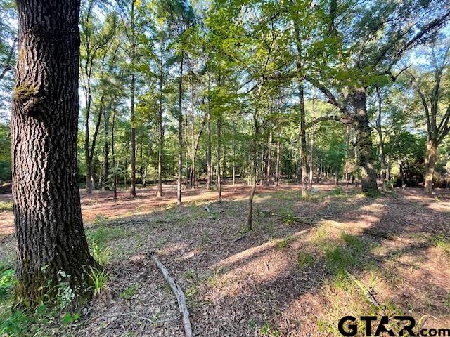 13050 Timber Creek Drive Flint, TX 75762 - Photo 5 of 10 a view of outdoor space with trees