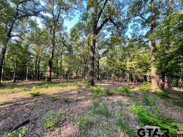 13050 Timber Creek Drive Flint, TX 75762 - Photo 6 of 10 a view of a yard with trees