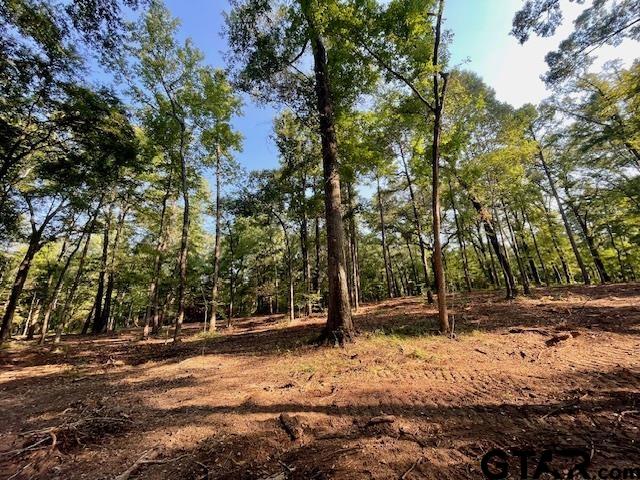 13050 Timber Creek Drive Flint, TX 75762 - Photo 7 of 10 a view of outdoor space with trees
