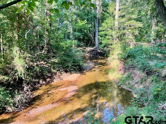 13050 Timber Creek Drive Flint, TX 75762 - Photo 8 of 10 a view of a yard with plants and large trees