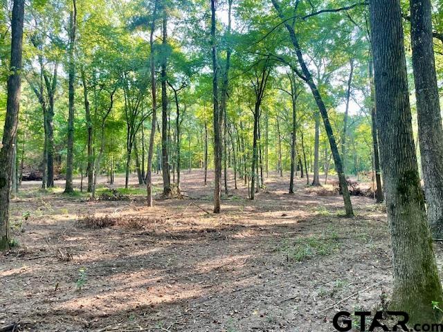 13050 Timber Creek Drive Flint, TX 75762 - Photo 9 of 10 a view of trees with trees in the background