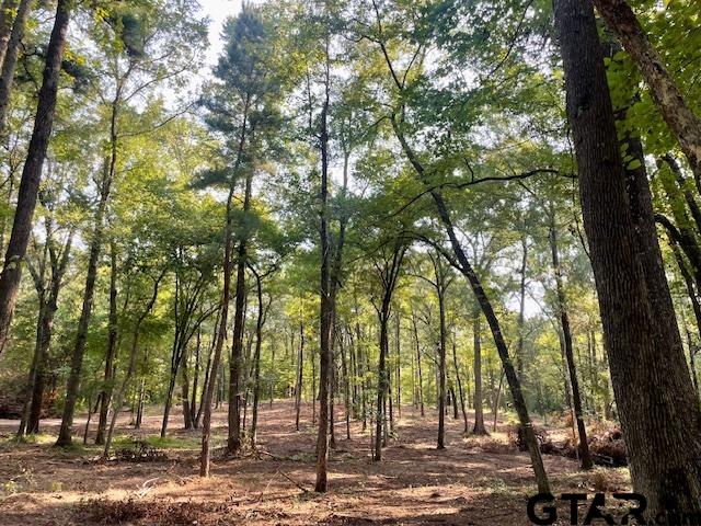 13050 Timber Creek Drive Flint, TX 75762 - Photo 10 of 10 a view of a forest with trees