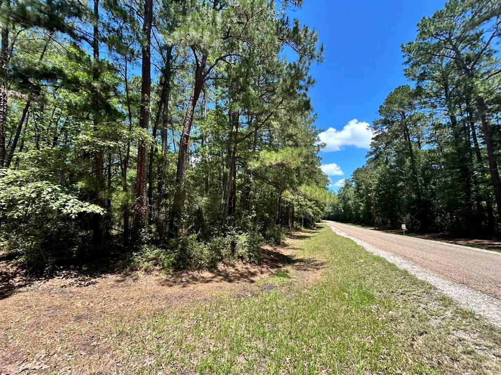 Lot 19 B H Carroll Street Trinity, TX 75862 - Photo 9 of 14