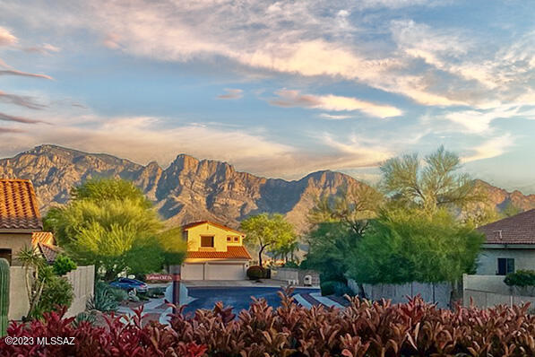 153 West Red Pepper Place Oro Valley, AZ 85755 - Photo 4 of 43