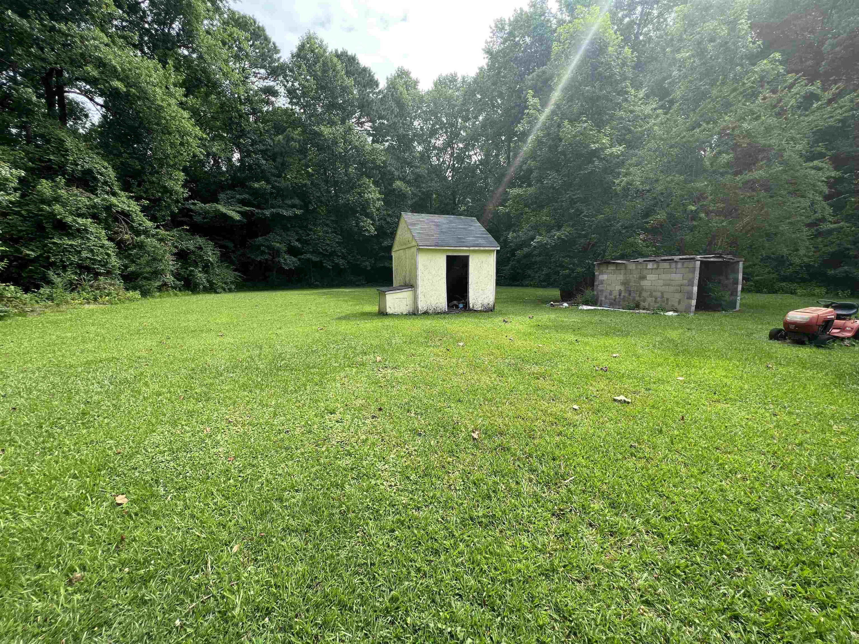 6100 Shiloh Church Road Bailey, NC 27807 - Photo 4 of 12 Photo 4