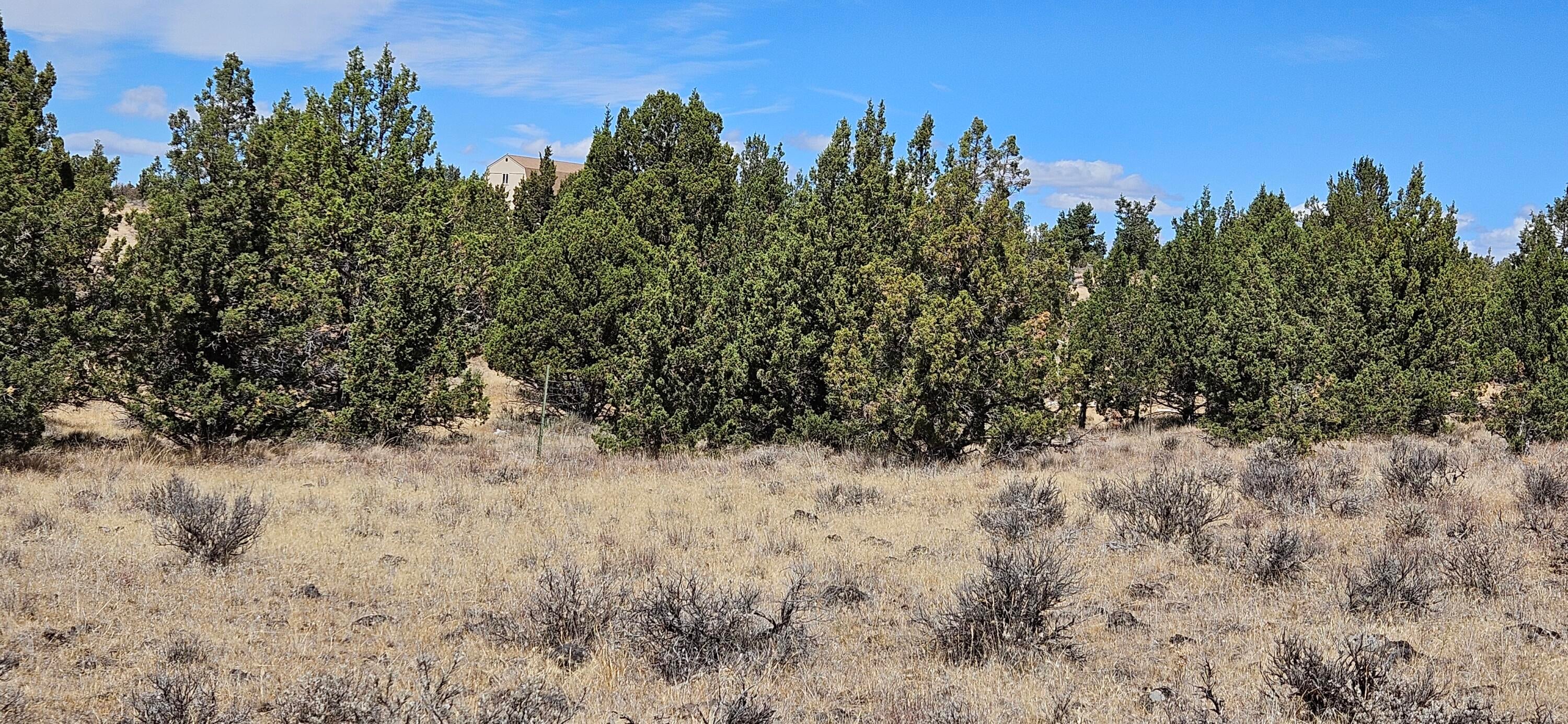 7537 Southeast Thomas Road Prineville, OR 97754 - Photo 3 of 28 1000012524
