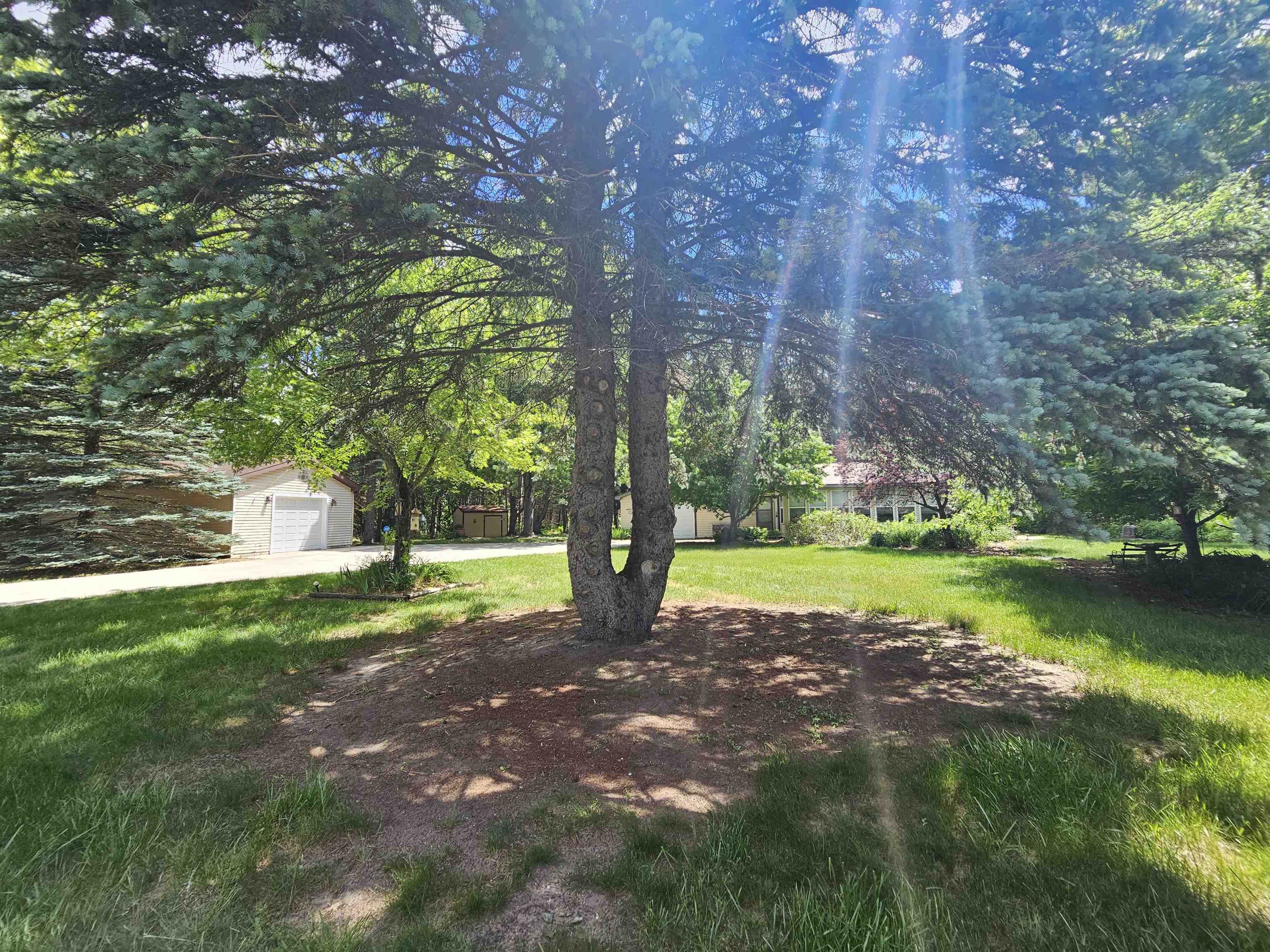 3351 South Dickerson Road Lake City, MI 49651 - Photo 45 of 52