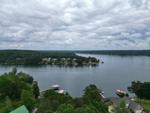 0 Co Road Arley, AL 35541 - Photo 2 of 15 IMG_20250605_145256