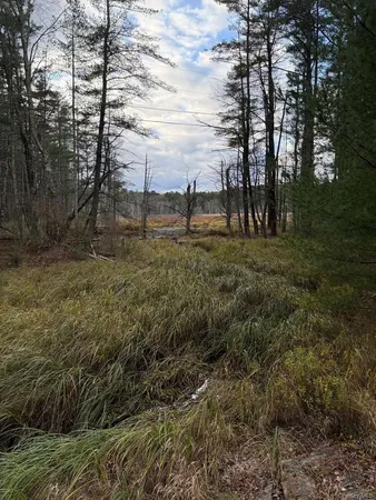 $57,000 | 0 Puckyhuddle Road, Bethel, NY 12720