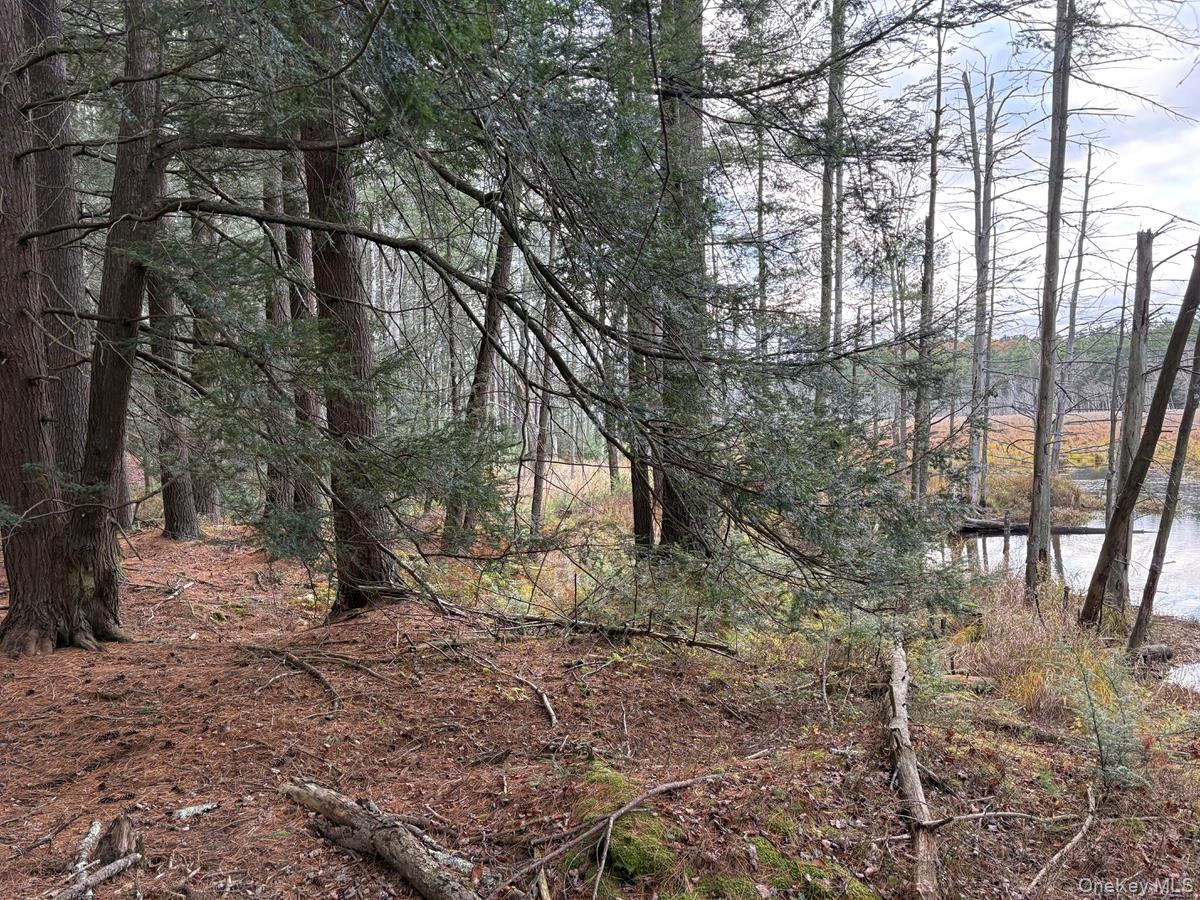 0 Puckyhuddle Road Bethel, NY 12720 - Photo 2 of 10 View of local wilderness with a nearby body of water