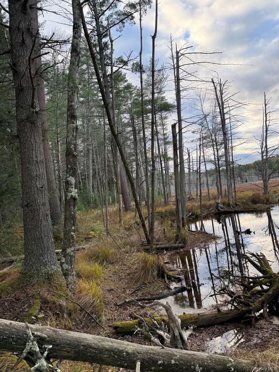 0 Puckyhuddle Road Bethel, NY 12720 - Photo 7 of 10