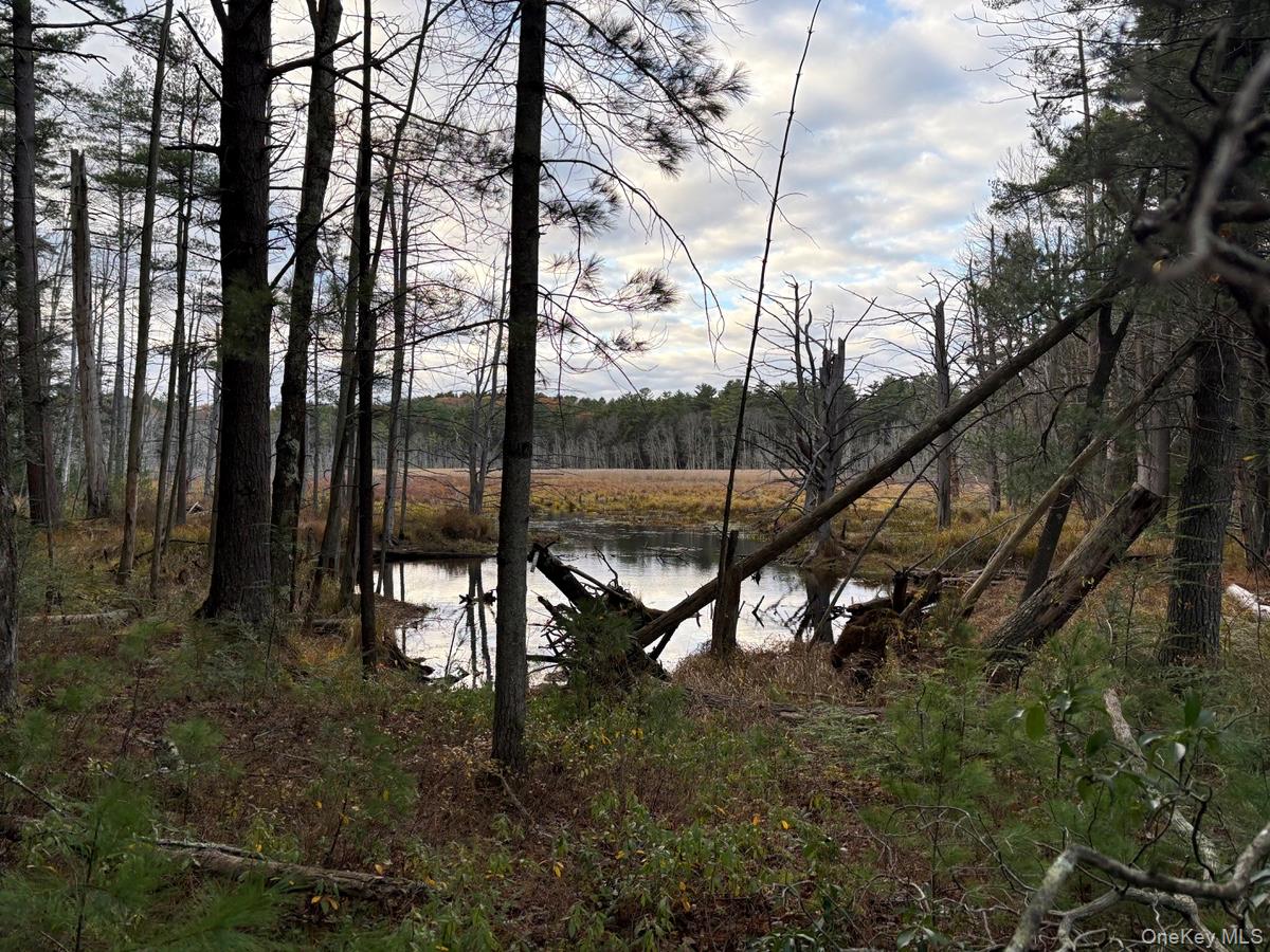 0 Puckyhuddle Road Bethel, NY 12720 - Photo 8 of 10 Water view featuring a heavily wooded area