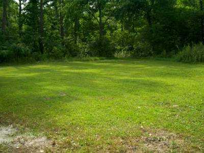 20125 Rev Clark Road Covington, LA 70435 - Photo 7 of 7 Gallery Image 7