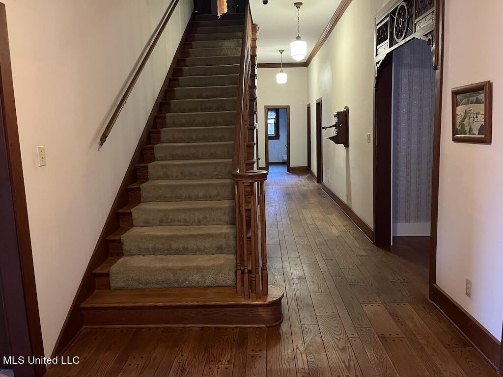 372 Gluckstadt Road Madison, MS 39110 - Photo 23 of 32 UNADJUSTEDNONRAW_thumb_6135