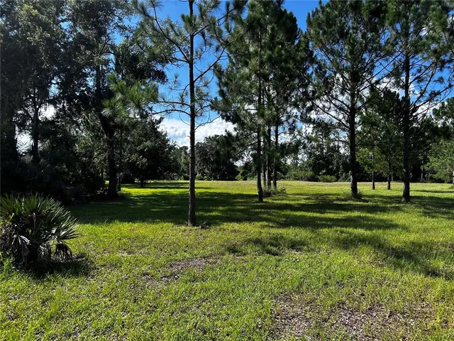 $485,000 | 15401 County Road 450, Umatilla, FL 32784