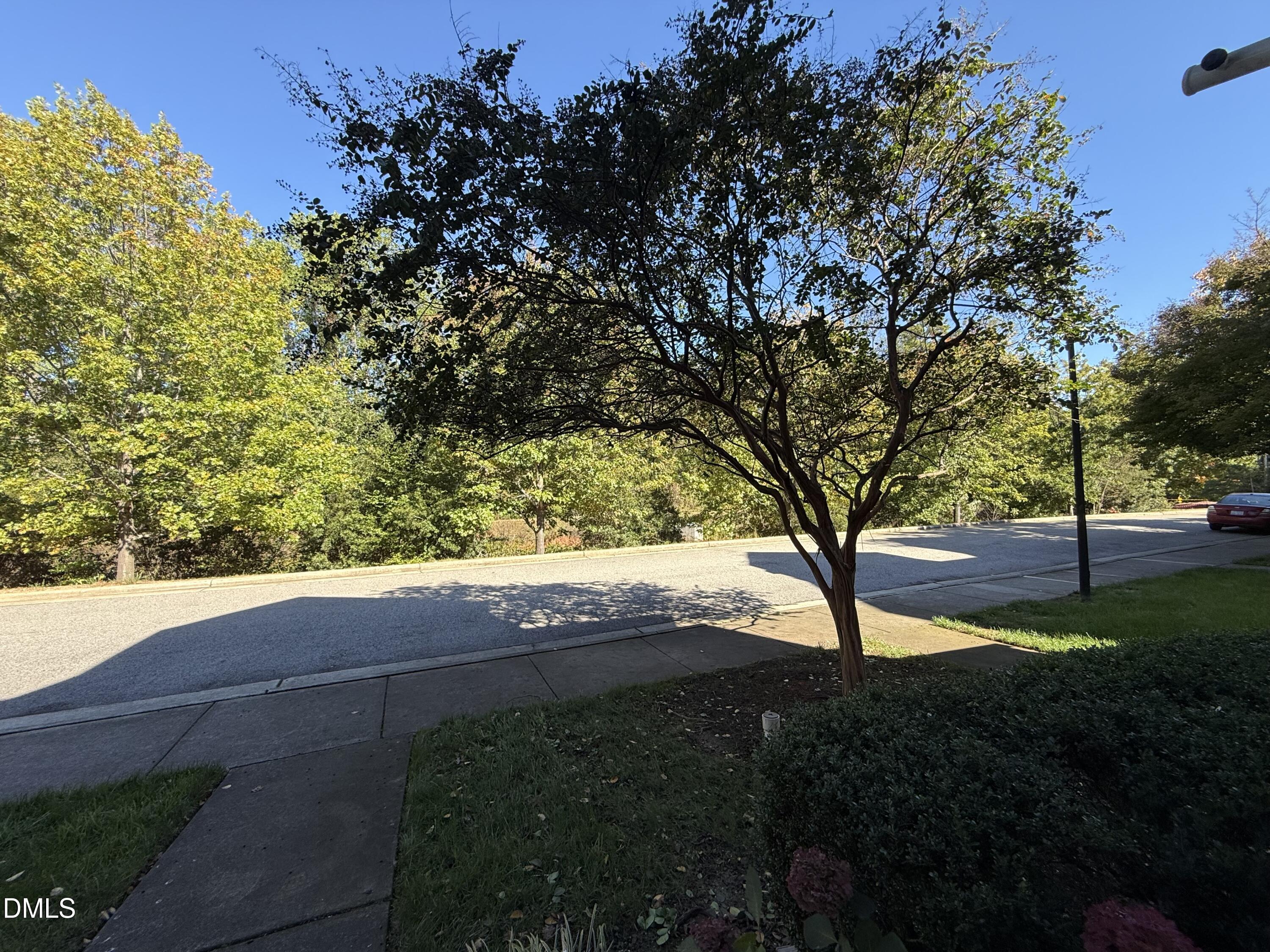 606 Sawcut Lane Apex, NC 27502 - Photo 26 of 30 a view of backyard with tree