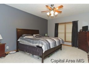 408 Sawmill Court Rochester, IL 62563 - Photo 9 of 16