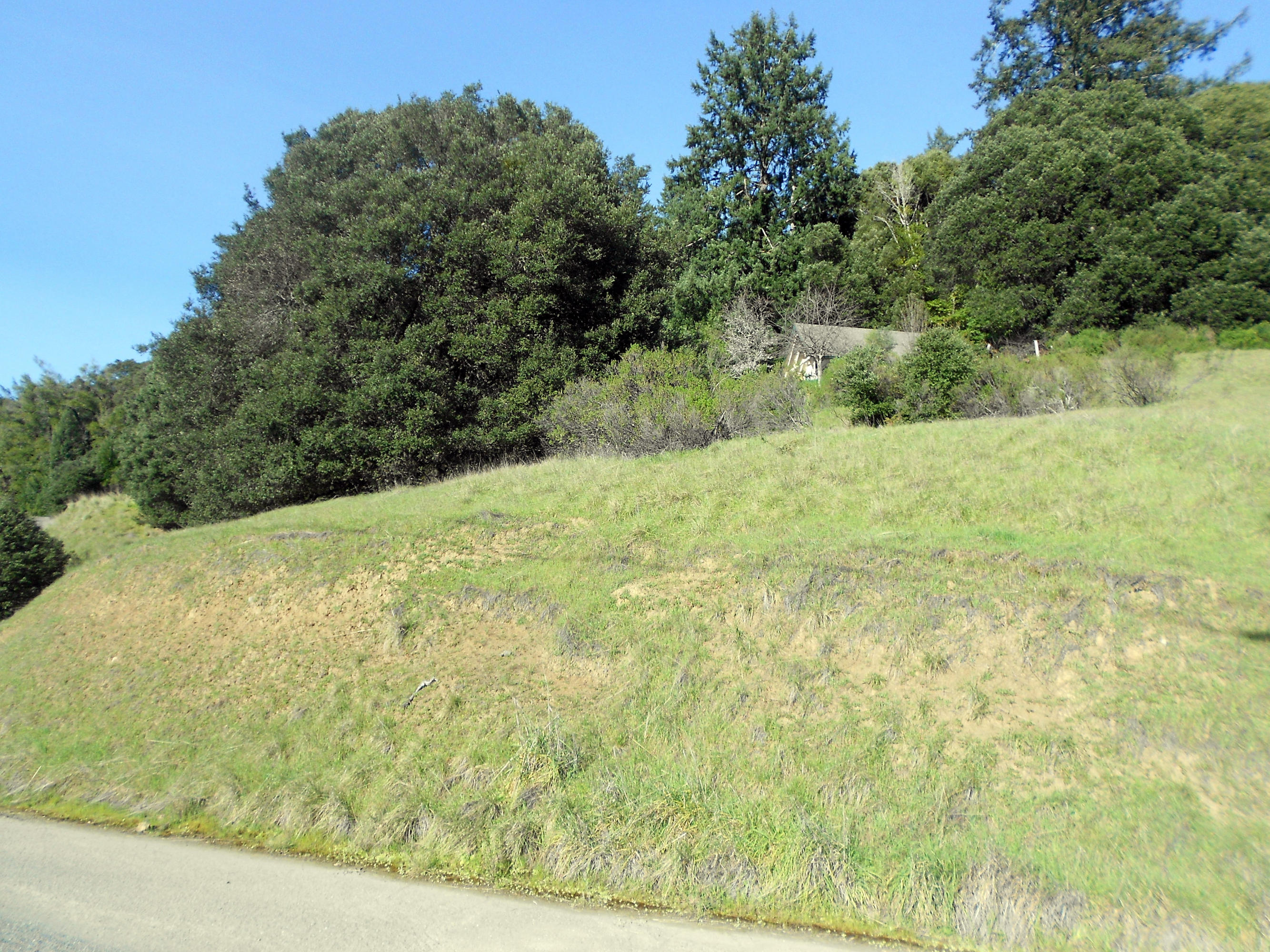 1269 East Blue Rock Road Benbow, CA 95542 - Photo 2 of 6