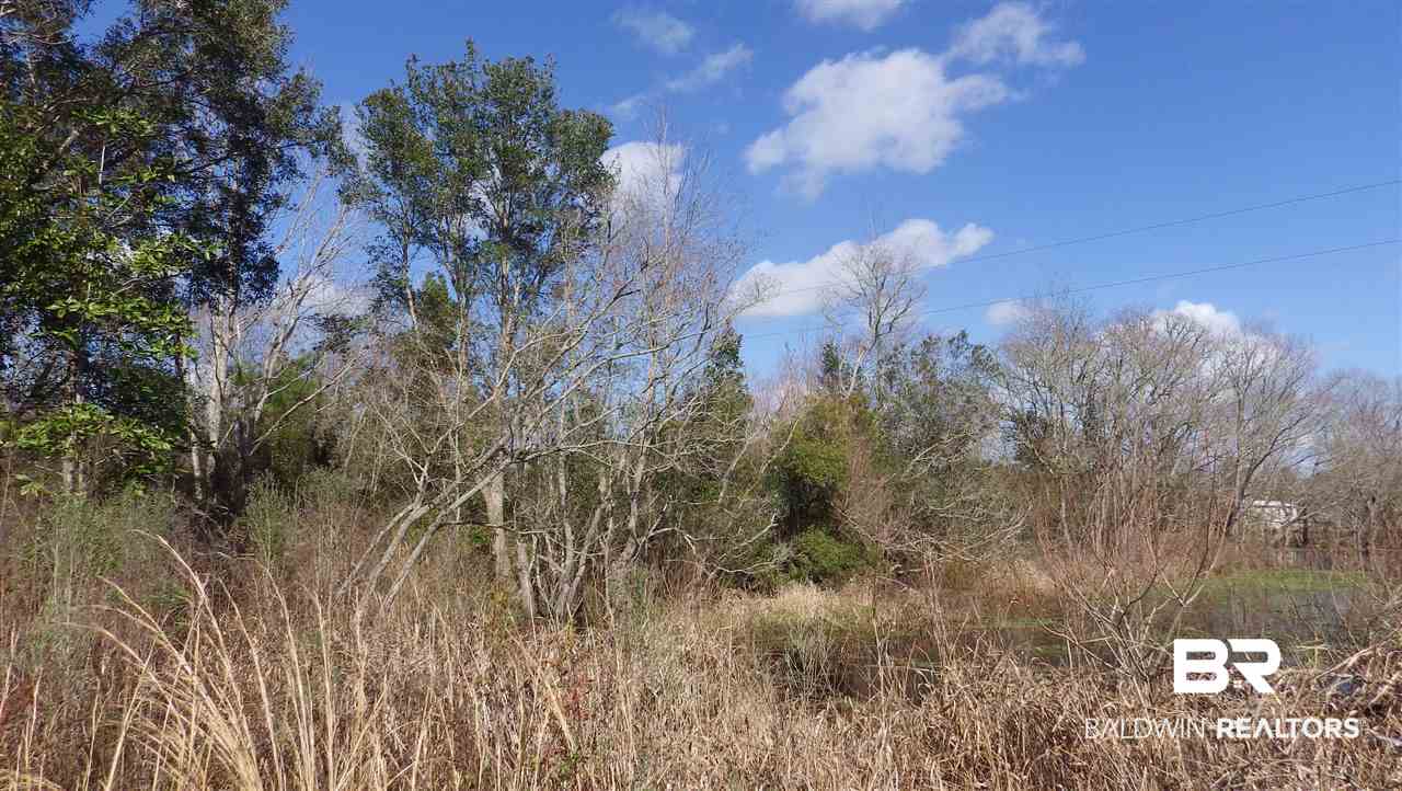 26665 Bruhn Road Elberta, AL 36530 - Photo 1 of 8