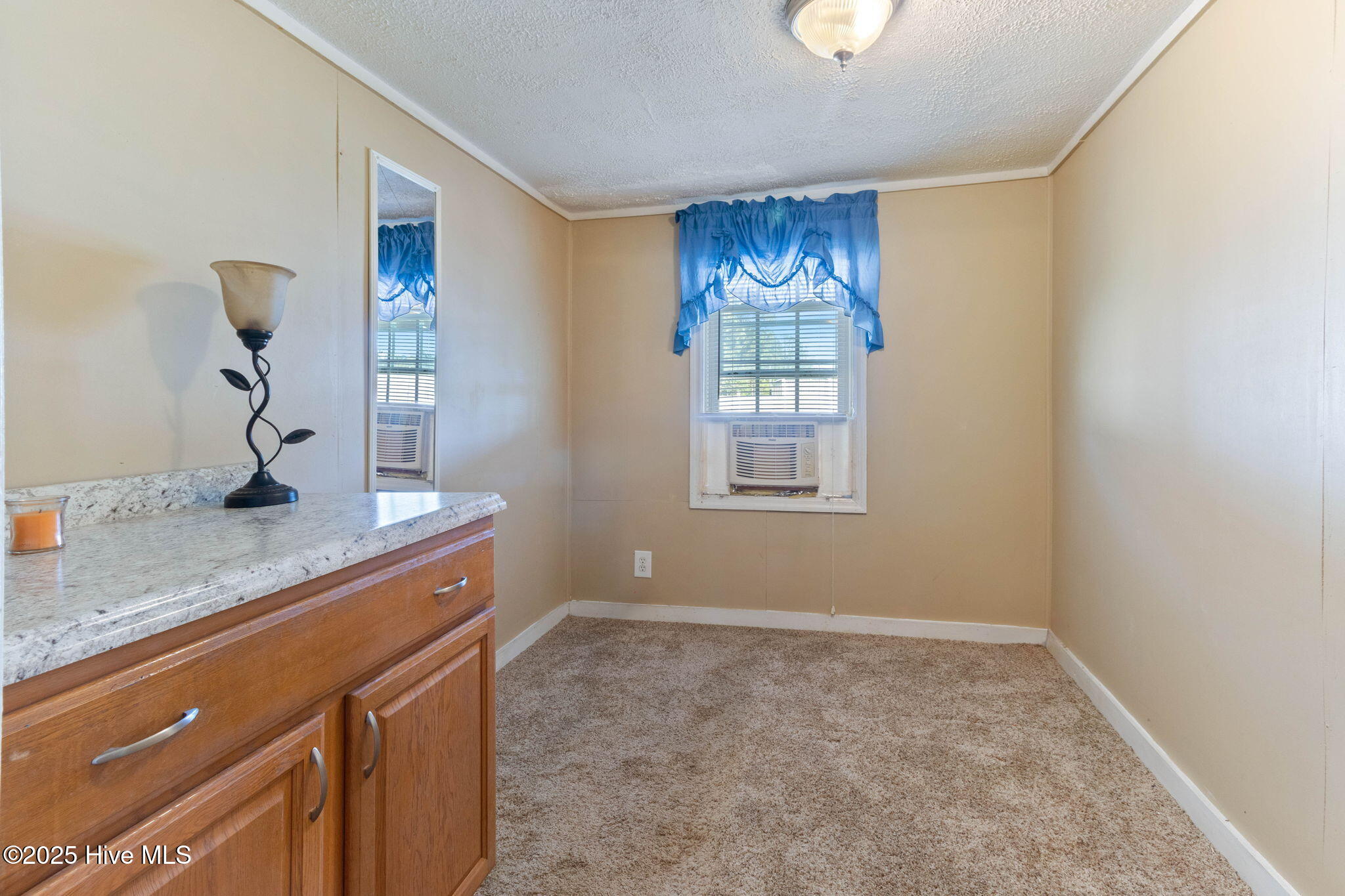 410 Elizabethtown Road Bladenboro, NC 28320 - Photo 21 of 44 25-web-or-mls-IMG_2253RE