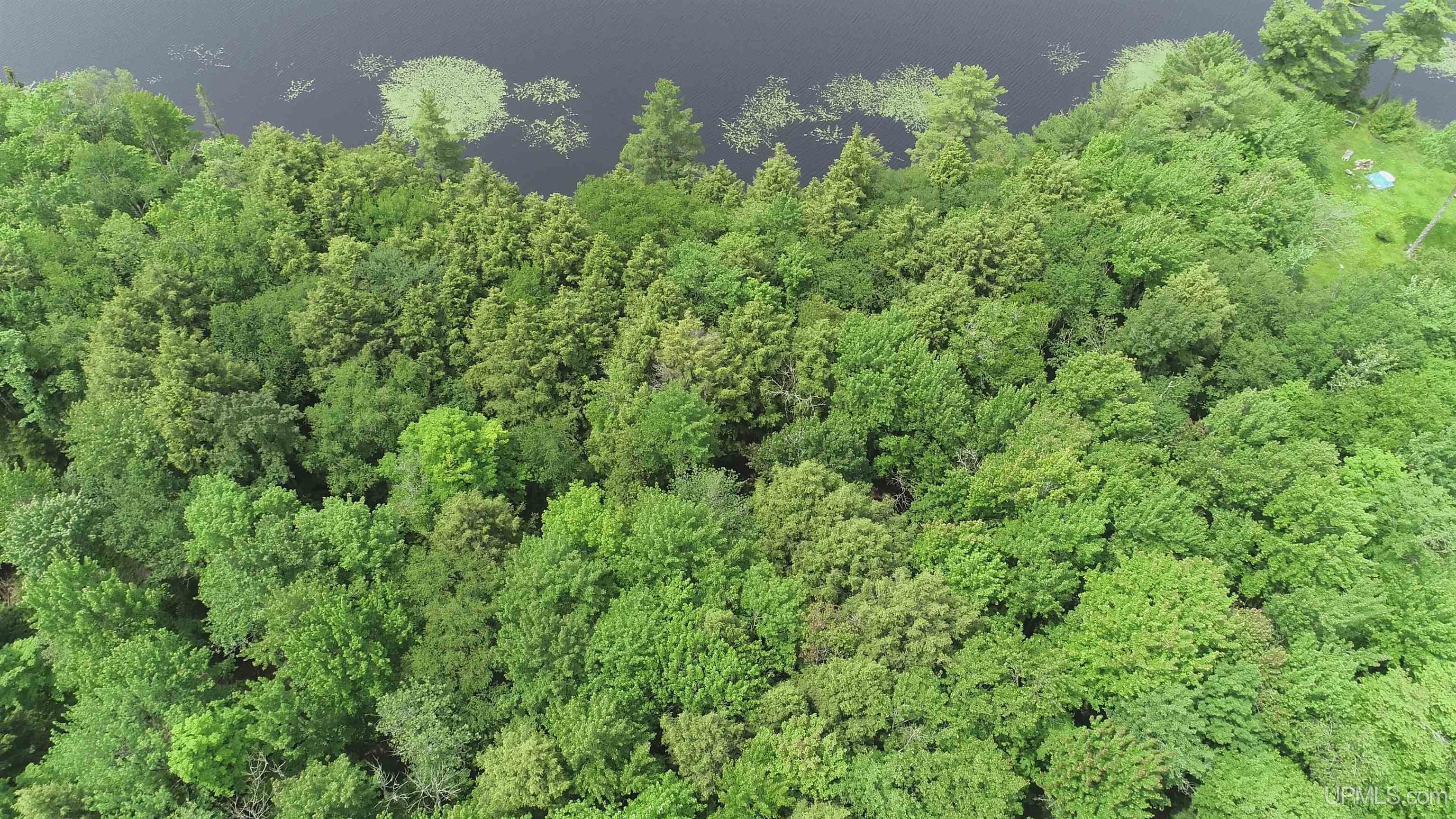 Parcel 1 Grant Lake Road Republic, MI 49879 - Photo 21 of 23